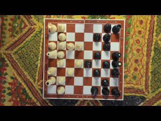 the chess game  beat and fuck grustinanectaria 1080p